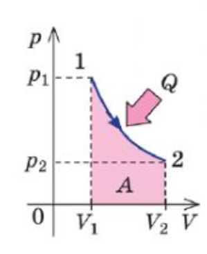 0402l7w0-9db6-299x366.png