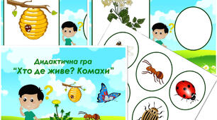 Дидактична гра "Хто де живе? Комахи"