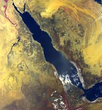 0402lati-11e9-208x224.jpg