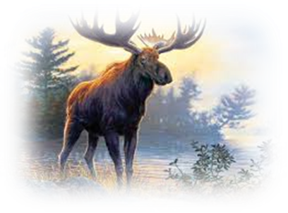 0402lbsn-379d-408x302.png