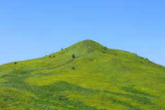0402lc5h-6637-233x155.jpg