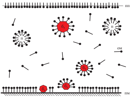 0402lfyz-893e-458x337.png