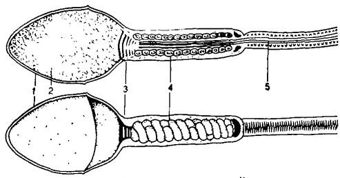 0402li1y-0b43-493x258.jpg