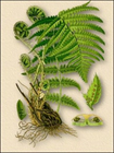 0402li5y-d7bb-105x140.png
