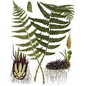 0402li9l-c9bb-122x123.png