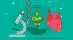 Презентація до уроку з теми: Світлові явища. Дослідження світлових явищ.