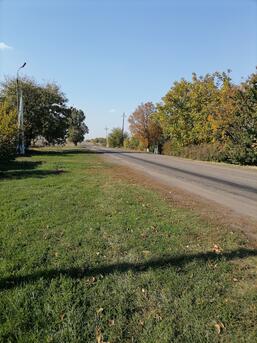 0402lm0e-dfb6-257x343.jpg