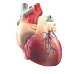 0402lm4b-f7cc-150x132.png