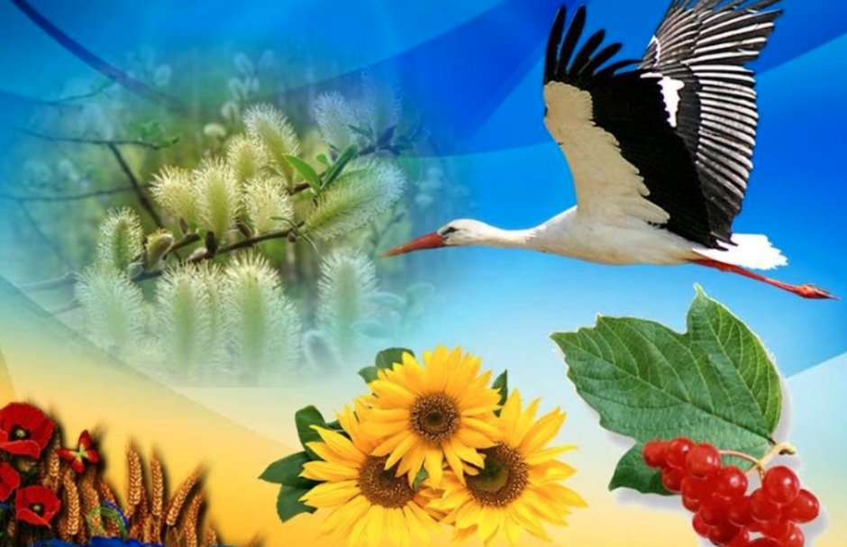 0402lp04-f30b-940x607.png