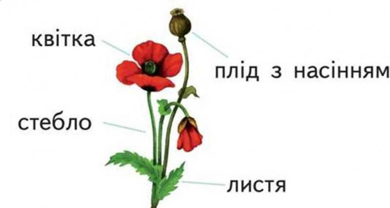 0402lplh-a978-800x428.jpg