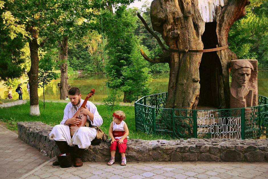 ᗚ Знаменитий дуб Сковороди накриють скляним куполом | Культура - Слобідський край