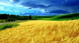 = ПРИКИПІВ Я ДУШЕЮ ВСІЄЮ =