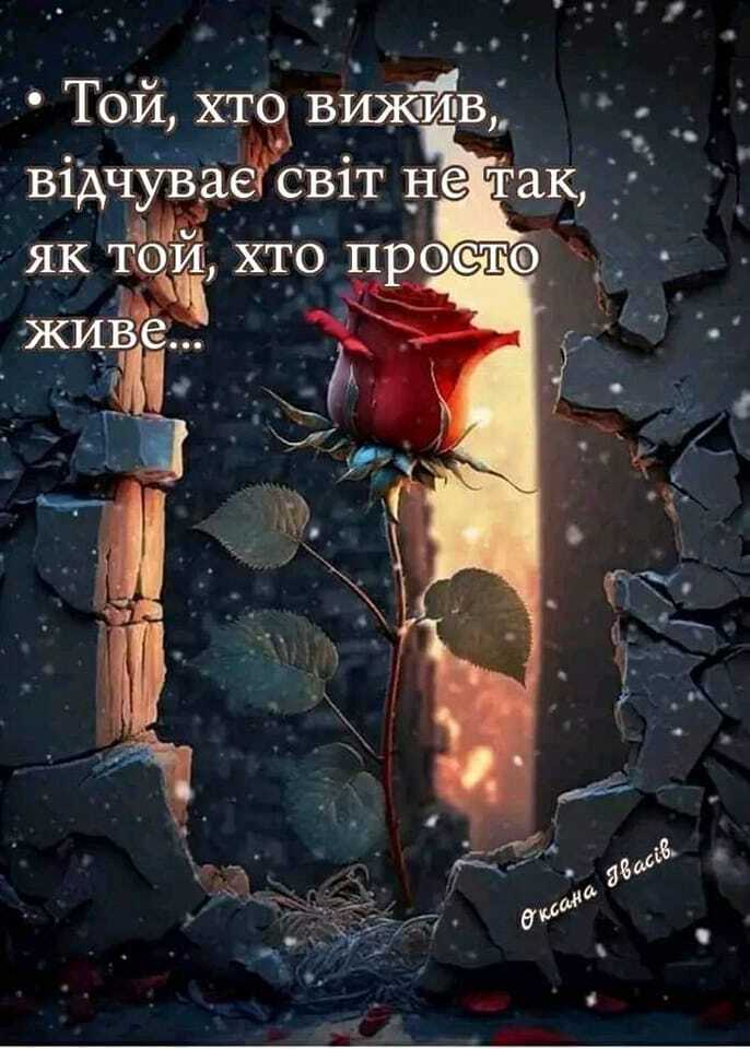Возможно, это изображение роза и текст