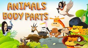 Презентація: "Body Parts of Animals"