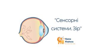 Робочий аркуш "Сенсорні системи. Зоровий аналізатор"