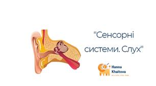 Робочий аркуш "Слуховий аналізатор"