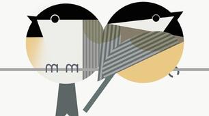 Порівнюємо числа в межах 100