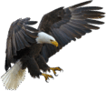 0402m20m-9e61-900x770.png