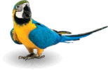 0402m20r-4d4c-829x538.png