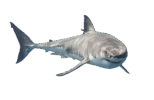 0402m20y-280b-940x612.png