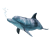 0402m218-bfbe-940x940.png