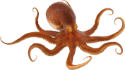 0402m244-8f07-940x531.png