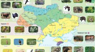 Діагностувальна робота №6. Україна на карті світу. Природні зони України