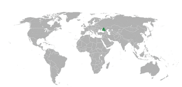 0402mawv-d890-593x284.png