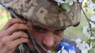 Він так спішив зустрітися з весною  Й сховатись у квітучий її цвіт