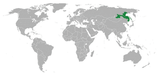 0402mayb-1a31-536x251.png