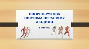 Презентація "Опорно-рухова система організму людини"