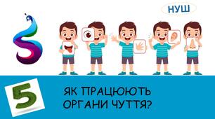 Презентація на тему: ЯК ПРАЦЮЮТЬ ОРГАНИ ЧУТТЯ?