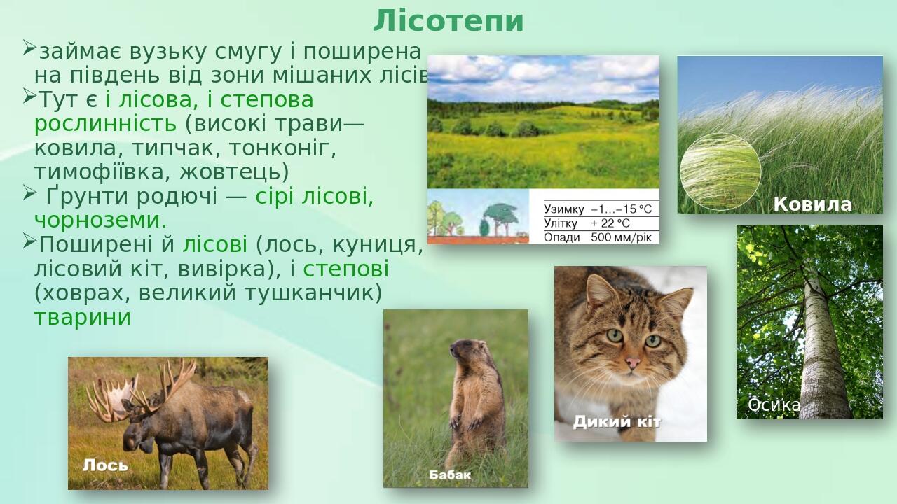 Презентація з географії 6 клас. "Природні зони Землі, їх особливості ...