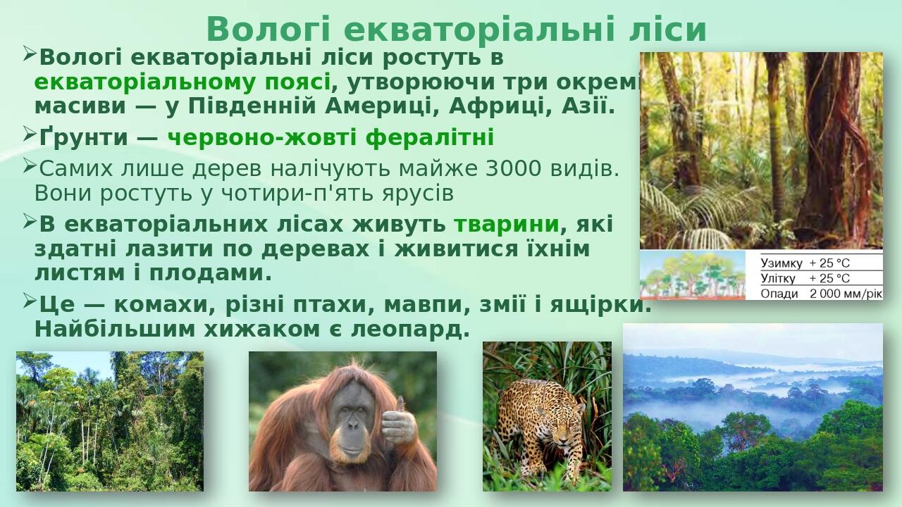Презентація з географії 6 клас. "Природні зони Землі, їх особливості ...