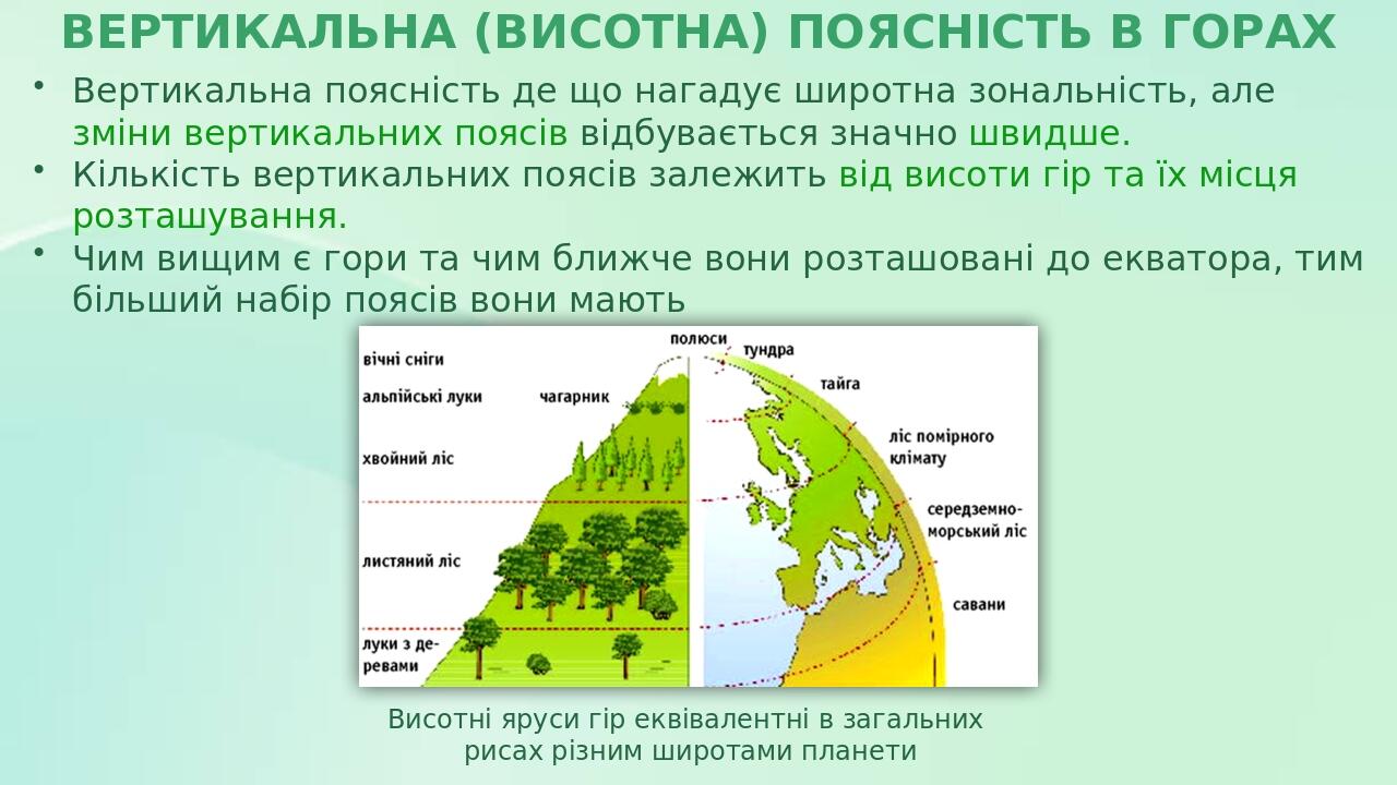 Презентація з географії 6 клас. "Природні зони Землі, їх особливості ...