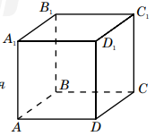 0402mf7o-5227-173x152.png