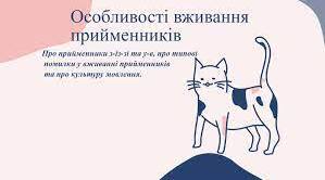 Прийменник. Граматичні помилки в уживанні прийменників.