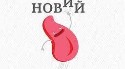 Тренувальні тести з теми: "Склад. Наголос."