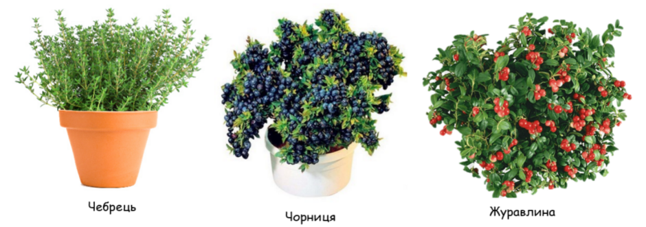 0402mguj-73f5-940x331.png