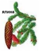 0402mh3z-a5a4-136x179.png