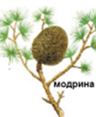 0402mh5x-8629-139x170.png