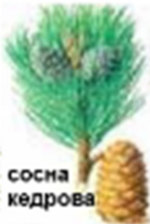 0402mh64-7cf8-136x203.png