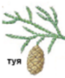 0402mh69-a008-134x161.png
