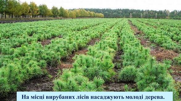 0402mi0m-2ab8-586x329.jpg
