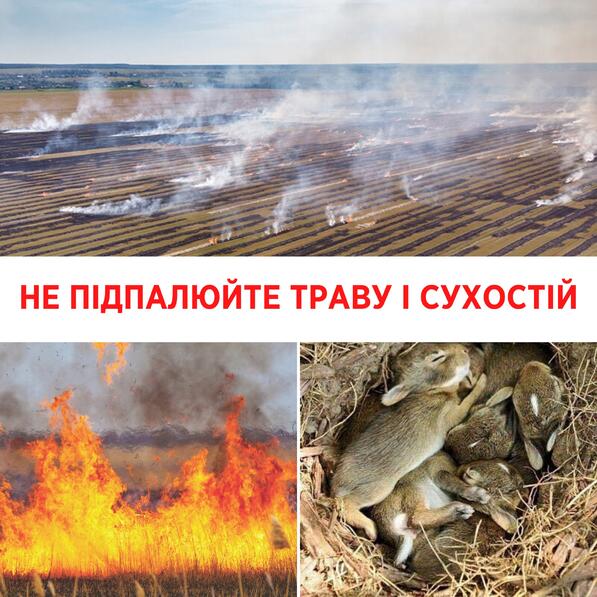 Не паліть траву і сухостій! | Уляна Супрун | Блог