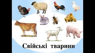 Конспект уроку з ЯДС для 3 класу "Як з'явились свійські тварини"