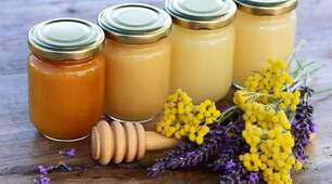 Карпатський гірський мед 🍯