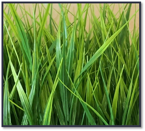 0402ml5v-6701-471x425.png