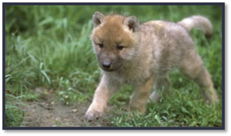 0402ml7n-cddb-476x281.png