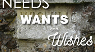 WISHES AND WANTS. Reading ( Ex.1-2, p. 176)